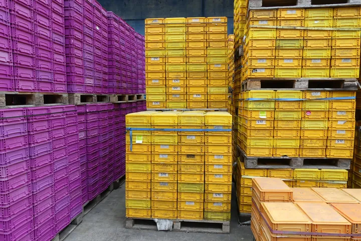 Konvolut Kunststoffkisten Umfang: 3x Palette mit Inhalt (ca. 240 Stück)